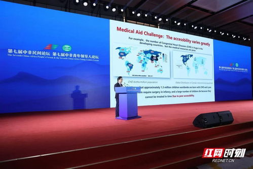 中國企業(yè)與非洲大陸這樣牽手——中非經(jīng)貿(mào)合作與企業(yè)社會(huì)責(zé)任平行論壇側(cè)記